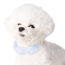 엠팩플러스 아이스링펫 넥쿨러, 블루, 1개