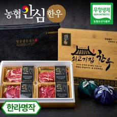[농협안심한우] 쇠고기집 무항생제 인증 한우 선물세트 소고기 명절선물, 3) 한라명작, 1세트