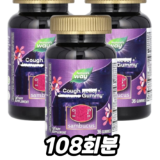 네이쳐스웨이 기침 릴리프 이뮨 삼부커스 구미, 1개, 108회분