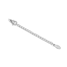 不鏽鋼尾鏈龍蝦扣套裝 5cm伸縮調節鍊 DIY項鍊手鍊飾品配件 10套/包 手作材料, 刻字橢圓鋼色, 1個