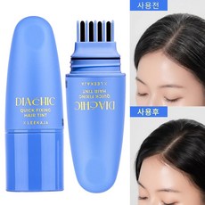 이가자헤어비스 디아쉬끄 퀵 픽싱 헤어틴트 새치커버스틱 흰머리커버, 1개, 다크브라운 1개, 다크브라운