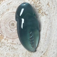 A988 蟹鉗 危地馬拉（吊墜孔）22.8*10.3*6.3mm, 1個