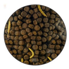 이프로컬렉션 고슴도치사료 800g 고슴도치먹이통