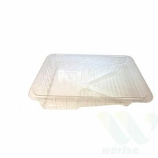 위라이즈 로라판 투명