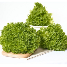 일민농원 무농약인증 다이어트도시락 샐러드채소 프릴아이스 1kg 케이터링 3초만에초간단세척, 1박스