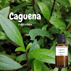Caguena 純精油 秘魯產地, 1個, 30ml