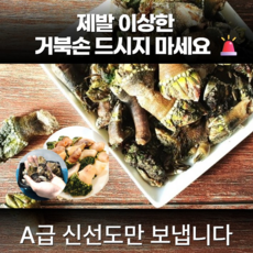 [산지직송] 국내산 거북손 신선포장, 1개, 500g