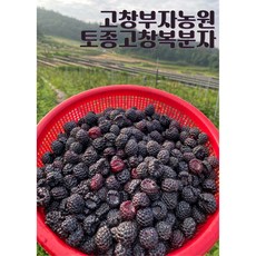 [프리미엄]고창복분자생과/ 첫물복분자/ 25년6월12첫수확후급냉! / 햇복분자 냉동제품 / 100%고창산 /, 2개, 토종복분자200g