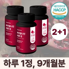 석류정 석류농축 99% 추출물 웰큐미업, 3개, 90정