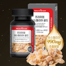 인도산 보스웰리아 추출물 함유 프리미엄 보스웰리아 골드 1000mg 60정 2개월 분, 1개