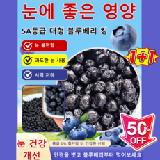 1+1무첨가 자연산 블루베리 드라이 건조 블루베리 100% 특급 무설탕 블루베리 건조과일, [1]=100g