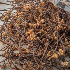 국산) 맛난 건고사리, 1개, 50g