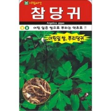 AR 참당귀 토당귀 중통 500ml(50g) 씨앗, 1개