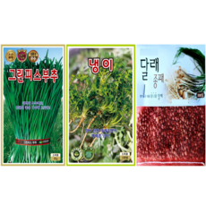 채소씨앗 3종 부추씨앗 냉이씨앗 달래씨앗 봄나물 텃밭 종자, 3개