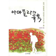 아마폴라의 유혹:화가 남궁문의 산티아고 가는 길 - 봄, 시디안, 남궁문 저