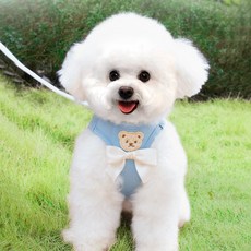 파스텔펫 반려동물 리본 곰돌이 하네스 리드줄 세트, 블루, 1세트