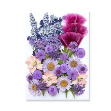 레진 아트 재료 UV 공예 에폭시 송진 필링용 말린 꽃 천연 식물 압착 DIY 펜던트 만들기 조화 생화, 19. N