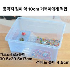 대형거북이어항 수조 수족관, 1개