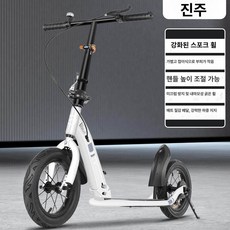 더즐리 수동킥보드 클래식 접이식 수동 성인 킥보드, 1개, 1cm, 진주