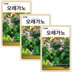 허브씨앗 오레가노 (3000립x3) Oregano 향신료 허브 키우기 종자, 3개
