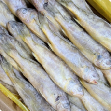 냉동 참조기 2.5kg 3.5kg 대용량 업소용 수입산 조기 식당 식자재, 참조기 3.5kg 50/52미, 1개