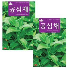 세인화분 공심채씨앗 10g 채소씨앗 공심채 씨앗 씨, 2개