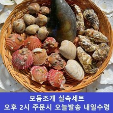 모듬조개세트 모듬조개구이세트 모듬조개찜세트, 1개, 실속세트 2kg(1~2인)