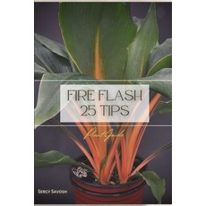 (영문도서) Fire Flash 25 Tips: Plant Guide Paperback, Independently Published, English, 9798390569962