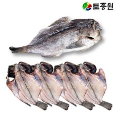 토종원 완도 마른우럭 특대형 4마리