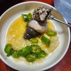 동해안 생물 살고동 고추 골뱅이 탕 무침 1kg 대 사이즈, 1개, 1kg 내외 대 (15-20미)