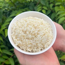 2025년산 쌀눈쌀 2kg 4kg 10kg 당일도정 7분도미 햅쌀, 1개