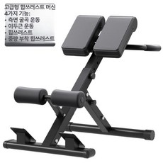 백스테이션 체어 기립근 실내 버건디와인 검정색 드리퍼 총색 복부, 표준형-접이식, 기본 모델명/품번