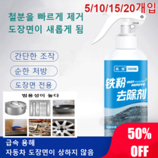 [10개입] 철분제거 크리너 자동차철분제거제 스텐녹제거제 금속녹제거제, (20개입) 100ml*20, 256ml