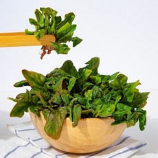 [더조은] 전남무안 노지 시금치 4kg, 없음