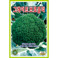 양채류 씨앗 모음 종자 양상추 양배추 브로콜리 아스파라거스, 2개