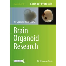 (영문도서) Brain Organoid Research Paperback, Humana, English, 9781071627228