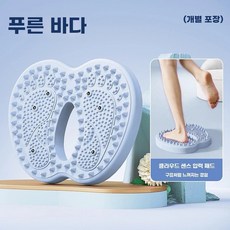 가정용 발지압 스텝퍼 유산소 에어번 스템퍼 지압 바운스 밸런스, G. 블루