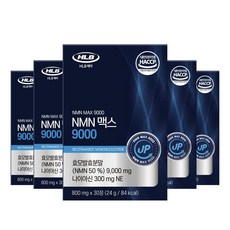 에이치엘비 제약 NMN 맥스 9000, 24g, 5개