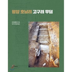 평양 호남리 고구려 무덤, 주류성, 정경일