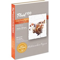플루이드 100 수채화 종이 블록 8 x 인치 10 장 300파운드 (640 GSM) 100% 면 콜드 프레스 패드 아티스트 페인팅 및 습식 미디어용, 4 x 6 (140 lb)