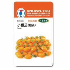 農友種苗 KNOWN-YOU 家庭園藝 特選種子 SV-365 橙黃小番茄，適合陽台盆栽，新手易種植, 1個