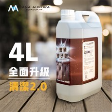 皮革去汙劑 4L 皮革 清潔 汽車美容用品 formosafvp dana aurora, 1個