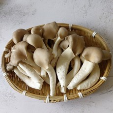 농장직송 손질 느타리버섯 새송이버섯 경남 의령 당일수확발송, 1개, 느타리버섯 상품 2kg