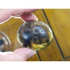 §能量礦石§ 印尼隕石河川滾石拋光 Agni Manitite 火山玻璃 79.60克 黑隕石 烈火石