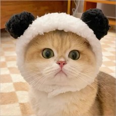 BROWMODA 애완동물 귀여운 방한 털 모자, 판다