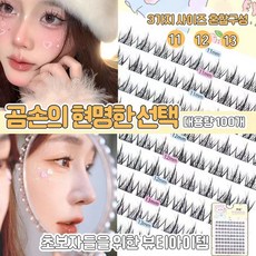 태양꽃 블랙 지지대 초보자용 3종혼합 악마 만화 인조 속눈썹, 1개, 혼합 치수