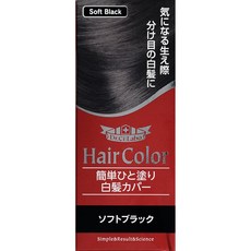 Dr.Ci:Labo Hair Color 輕巧美髮補色膏 快速補染白髮, 1個, 黑色, 黑色