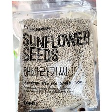 진원 해바라기씨 1kg 견과 간식, 1개