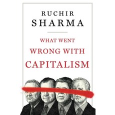 (영문도서) What Went Wrong with Capitalism Hardcover, Simon & Schuster, English, 9781668008263