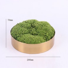 STTPEI 新中式永生苔蘚微景觀盆景 書房桌面擺件, 如圖所示